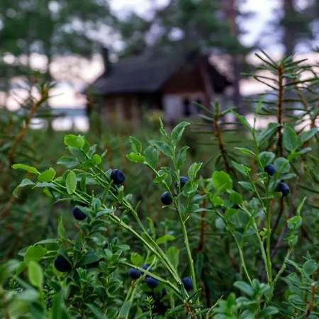 Loue Island - A True Finnish Experience *