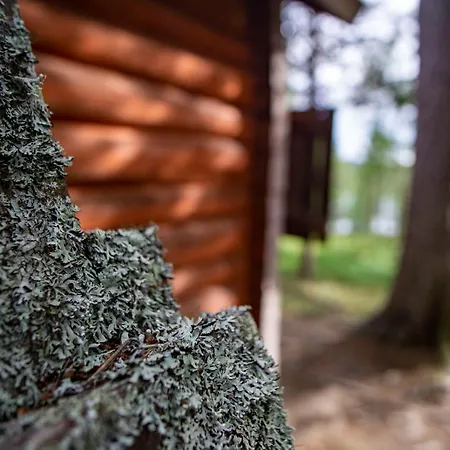 Loue Island - A True Finnish Experience *